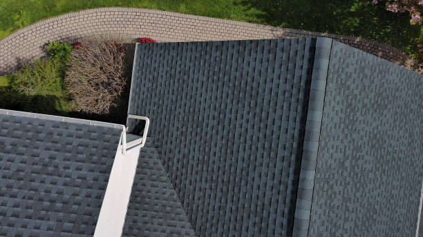 Best Chimney Flashing Repair  in Ladera Heights, CA
