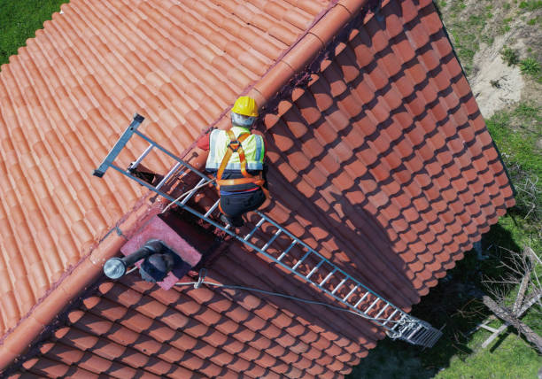 Best Roof Moss and Algae Removal  in Ladera Heights, CA