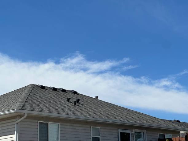 Best Gutter Installation and Repair  in Ladera Heights, CA
