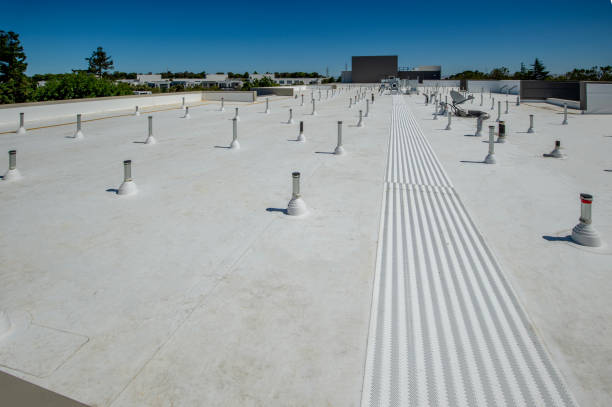  Ladera Heights, CA Roofing Service Pros